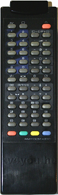 SAMSUNG RM113